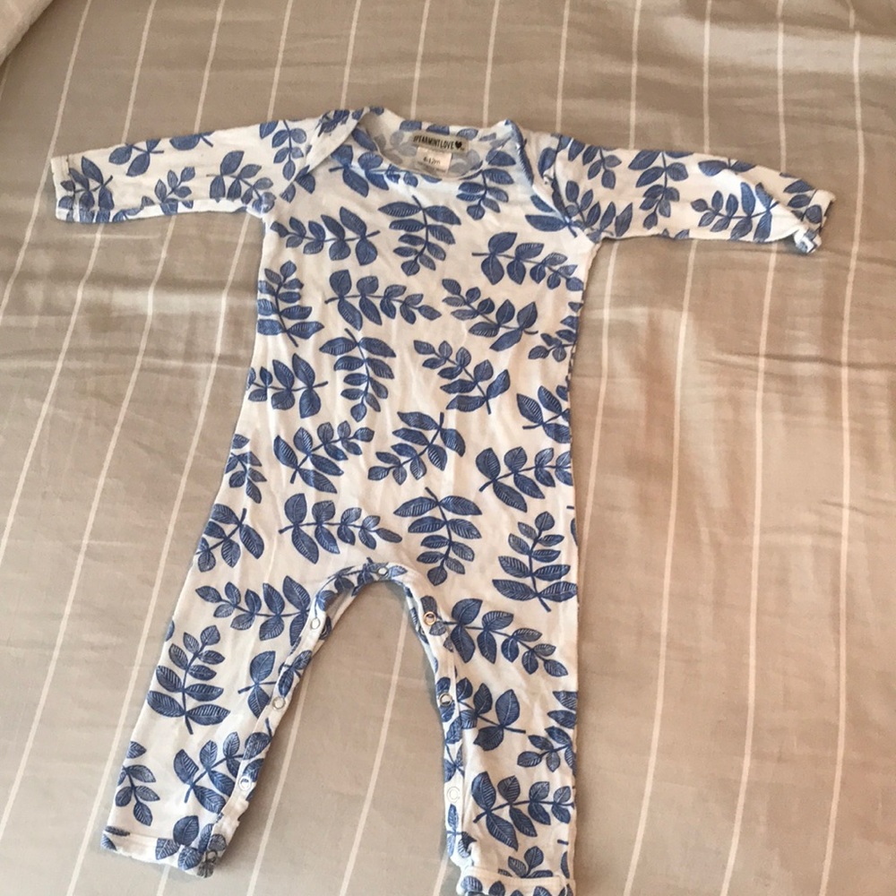 Indigo fern Spearmint Love romper